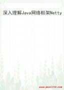 深入理解Java网络框架Netty PDF 下载