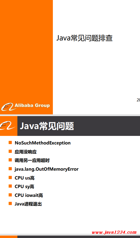 Java常见问题排查 PDF 下载 图1
