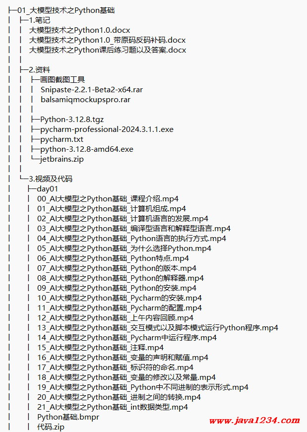Python+AI大模型 视频教程 下载 图1