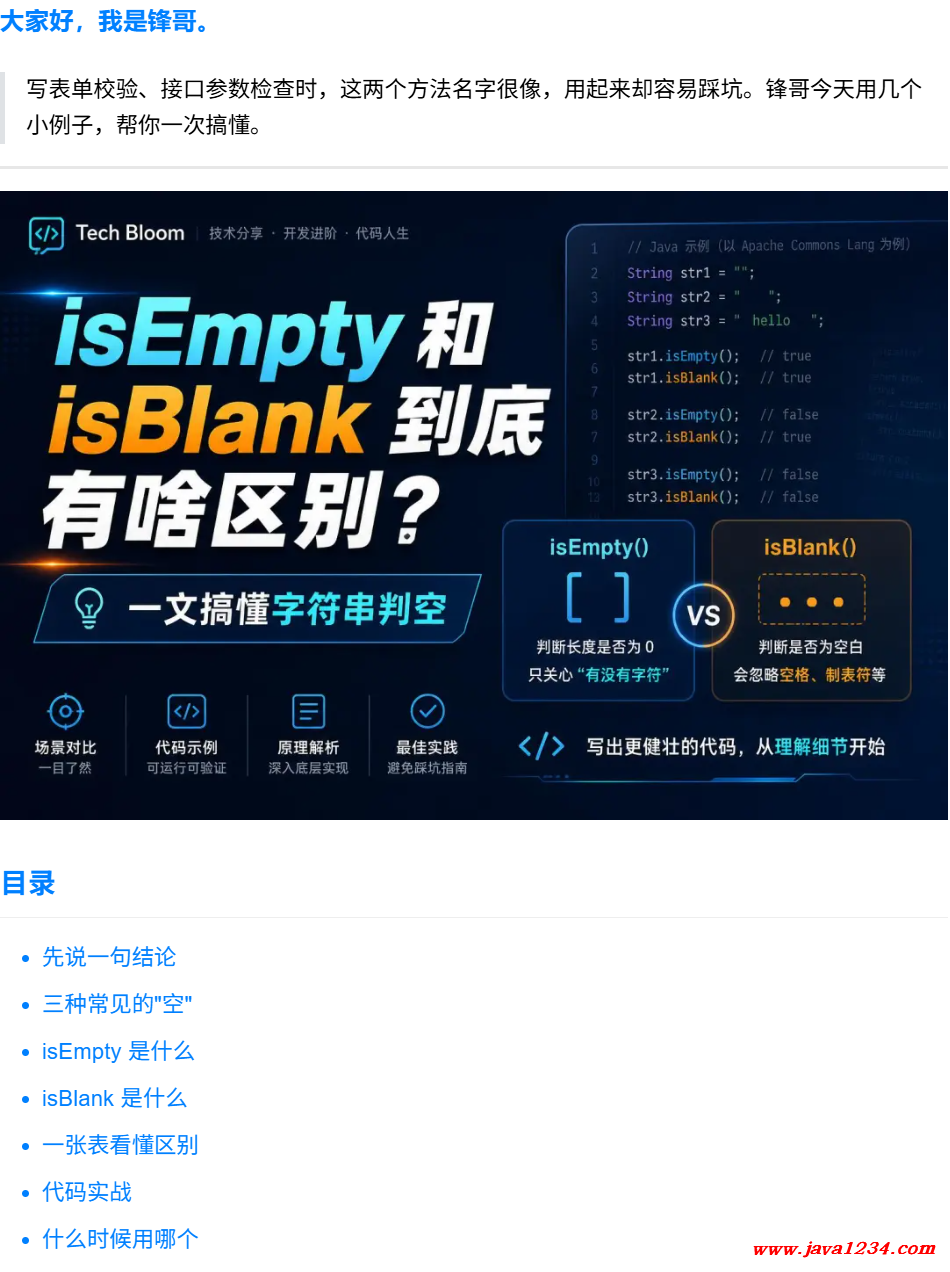 isEmpty 和 isBlank 到底有啥区别 ? 图1