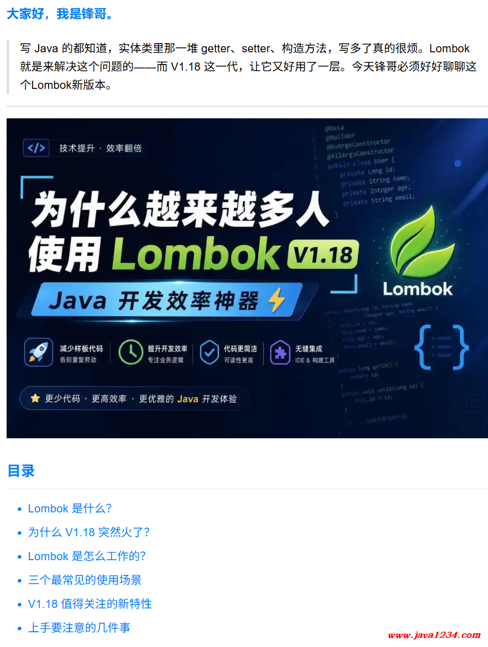 为什么越来越多人使用 Lombok V1.18 ? 图1